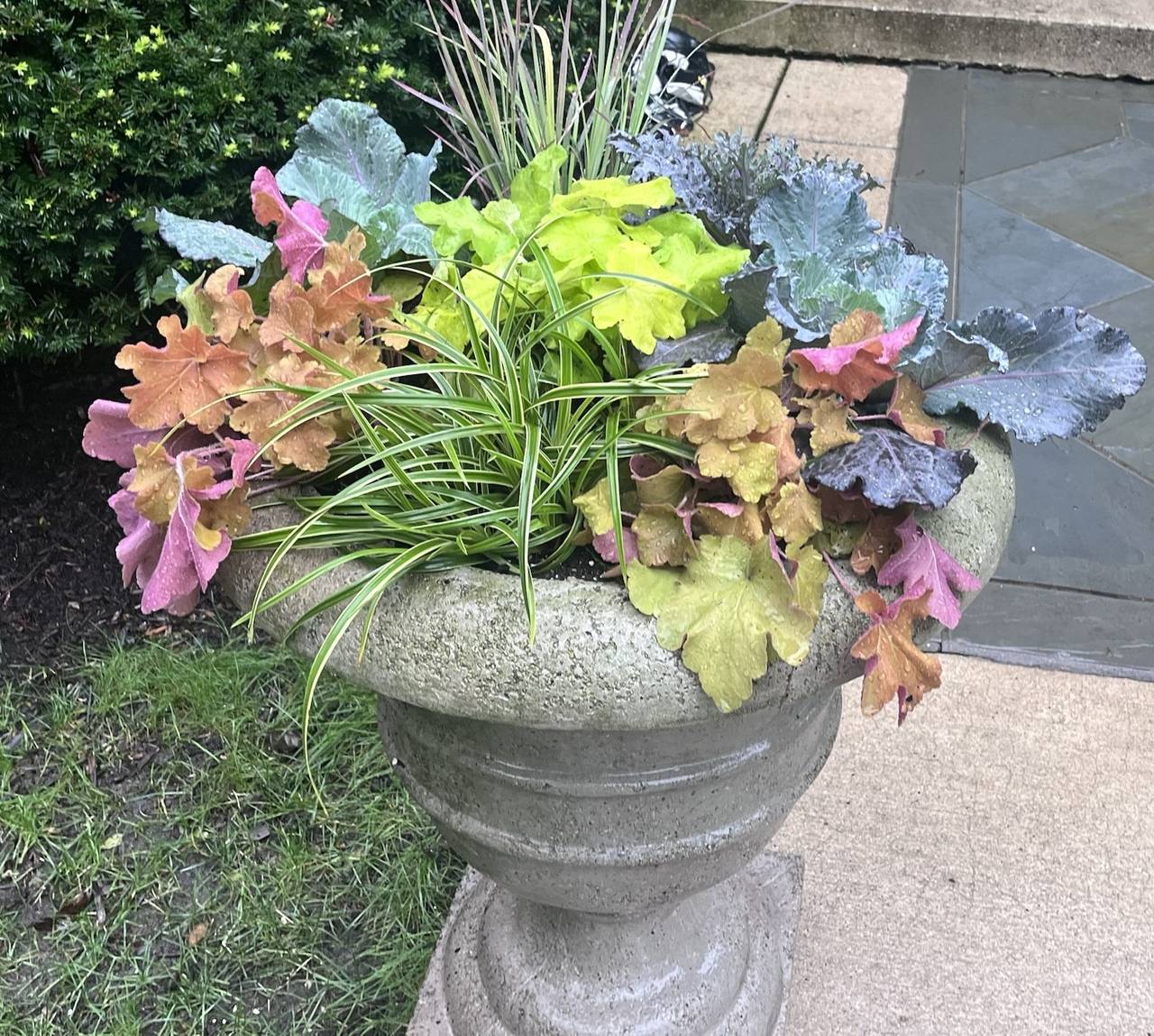 Stone urn of coral and lime coral bells, blue kale, and variegated sedge beside a bluestone walk