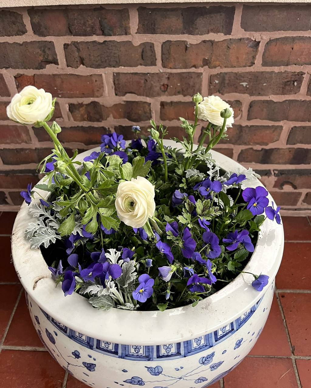 Blue and white porcelain planter with white ranunculus and violet pansies
